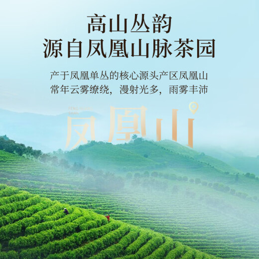 华祥苑茶叶自己喝 凤凰单枞茶特级鸭屎香潮州单丛茶乌龙茶2罐共250g