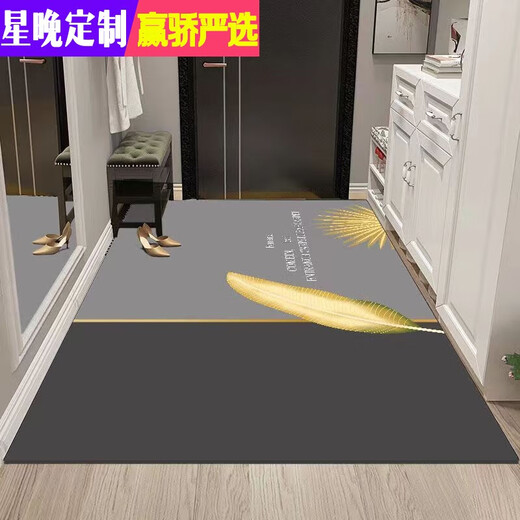 Xingwan Light Luxury Diatom Mud Entry Floor Mat Door Water-Absorbent Anti-Slip Entry Mat Entrance Full Floor Dirty-Resistant Household Door Mat Orange Strip 100*160cm
