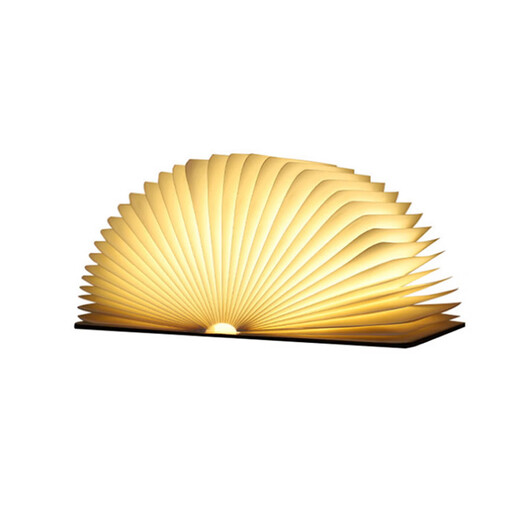 茂得得MoreDeDe木艺书本灯折叠蓝牙音乐书灯触摸五彩灯文创小夜灯木艺创意礼品灯 白枫木书皮 大大本-蓝牙