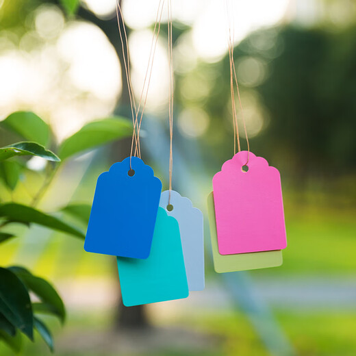 Shipton 100 pieces of hang tags, plant signs, tree signs, classification color cards, plastic waterproof, sun-resistant, non-fading PVC labels, 5*7cm powder, 100 pieces