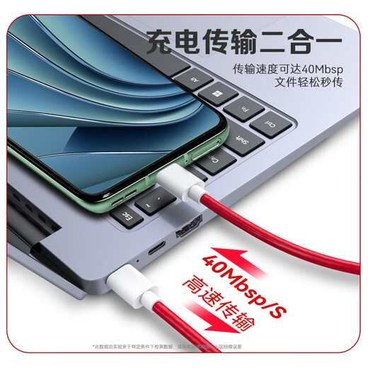 轩邑 适用一加数据线一加充电线Warp闪充PD65W超级快充1+9Pro/9/9r/9rt/8t/8/7/oppo双Type-C转Type-C