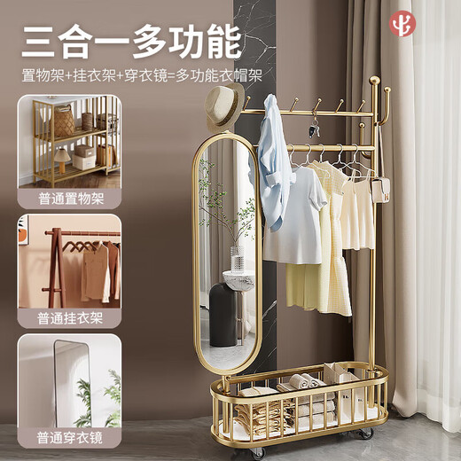 DSRAWMYT衣帽架 落地卧室多功能晾衣服带镜子移动加粗穿衣镜挂衣架一体