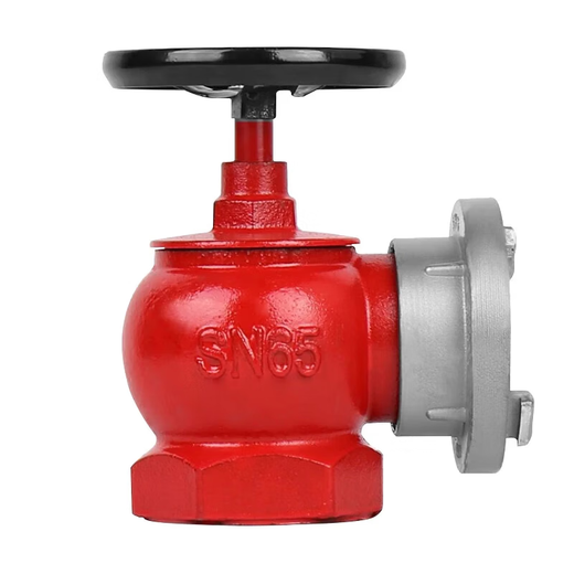 Indoor fire hydrant head SN65 pressure reducing and stabilizing rotating fire hydrant fire hydrant 65 2.5 inch fire valve fire hydrant head ordinary hydrant SN65