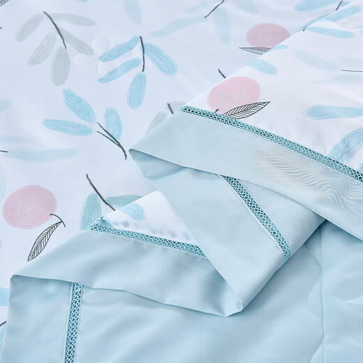 杉杉FIRS杉杉（FIRS) 臻丝缎蚕丝被-芳华 200x230cm QFS-12128夏凉被礼批