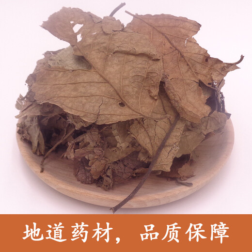Linshitang Chinese herbal medicine Eucommia ulmoidea leaves Eucommia tea Natural Eucommia ulmoidea leaves Zhangjiajie Eucommia ulmoidea leaves Xionghuanensis ulmoidea leaves 500g