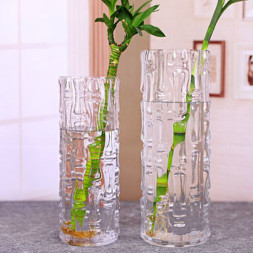 Stone tree thickened large rich bamboo dragon bamboo transparent glass vase hydroponic water cultivation fresh dried flowers living room flower arrangement floor vase diameter 15 height 40CM bamboo tube thickened and heavier