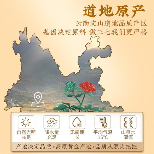 养庆堂国药药材三七粉255g 云南文山三七田七37打粉可搭中药材 1瓶装