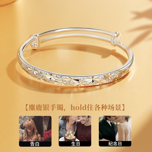 中国黄金（CHINA GOLD）满天星足银手镯子女生实心生日礼物送女友老婆纪念日 满天星手镯【15g】-京速达