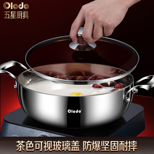 欧乐多（Olodo）德国316L不锈钢复底汤锅火锅涮锅家用大容量锅燃气灶电磁炉通用 316L不锈钢汤锅 贈手柄+汤勺 26cm