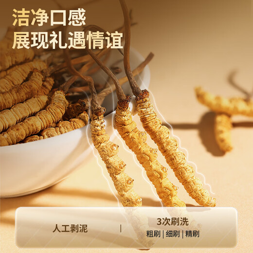 Tongrentang brand Cordyceps sinensis about 4 roots/g100g about 400 roots tonic gift box postoperative tonic products to send to elders
