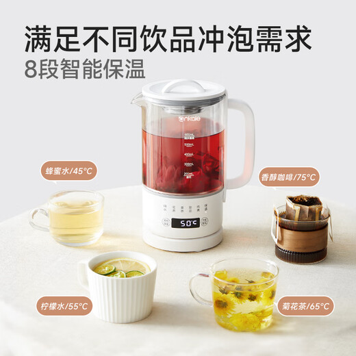 Ankale health pot 600ml 316 stainless steel + high borosilicate glass office small mini multi-functional stew integrated constant temperature kettle AJL-06Z01 with filter