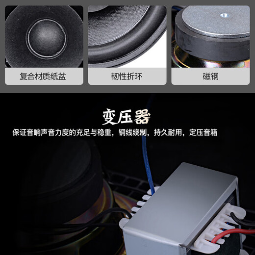 先科（SAST）40W户外无线蓝牙防水音柱室外挂墙壁挂式音响功放喇叭套装音箱学校操场会议广播店铺音乐 主机