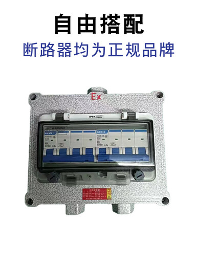 Huili's explosion-proof box three-phase air switch leakage protection circuit breaker cast aluminum explosion-proof waterproof and dust-proof box explosion-proof distribution box 2P empty box
