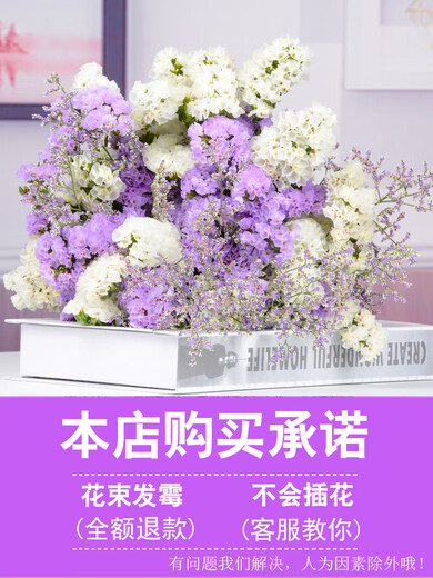 AIMAN fleurs vraies fleurs Yunnan bouquet de fleurs séchées myosotis vraies fleurs décoration de la maison arrangement floral simple mélange et correspondance haleine de bébé fleurs séchées violet + jaune + moût blanc + herbe des amoureux 30 pièces sac de fleurs séchées