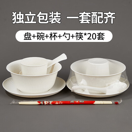 SHUANG YU disposable tableware five-piece set * 20 people large bowl chopsticks plate cup spoon outdoor camping picnic set