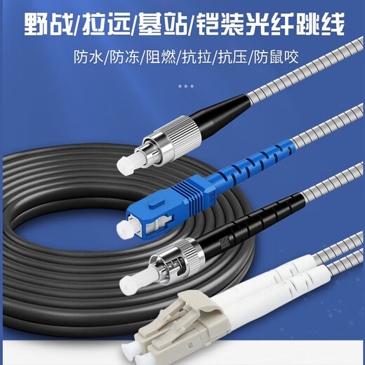 辉宏时代室外铠装野战光缆光纤跳线FC/LC/SC单模万兆2芯4芯双芯多模铁塔通信基站抢修野外拉远防水光纤线 LC-LC单模双芯铠装野战光缆 3米