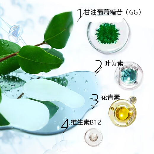 Milam Lutein Eye Protection Patch Spirulina Extract Eye Protection Patch Cooling, Cooling and Moisturizing Eye Spa (2 boxes of 30 pairs)