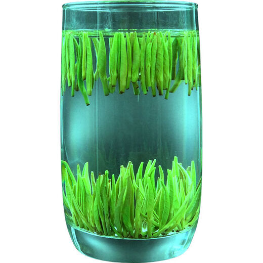 Ganxiang Po Bird's Tongue Tea Meitan Cuiya 2024 New Tea Mingqian Young Bud Spring Tea Alpine Cloud Green Tea Small Packaging Fragrance Type 120g (40 small bags) Free tea tasting boxed