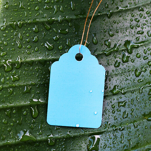 100 sheets of PVC color plastic plant tags for flower gardening potted plants, small seedling tags, succulent tags, 7x5cm blue, 100 sheets in a bundle