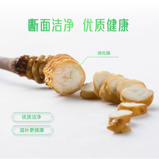 Dongyang Sunshine Fresh Cordyceps Box cadeau Cordyceps Gift nutritionnel haut-gir