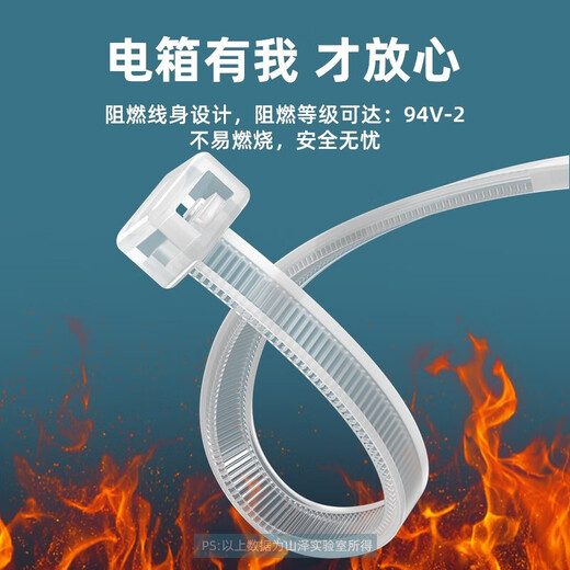 山泽 自锁式尼龙扎带 线缆电脑桌面装机 园艺理线束线捆扎多功能绑带 专业自锁式 透明尼龙扎带 100根【100*2.5mm】HZD-12