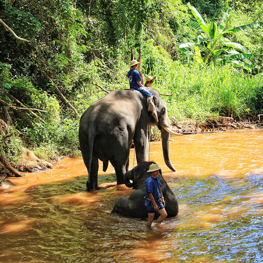 Thailand Chiang Mai + Chiang Rai, Thailand 5 nights and 6 and a half days self-guided trip, one single group, just for fun, no shopping, available for any holidays until October 31st, no price increase, 4-6 people VIP single group