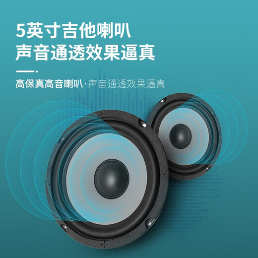 Minsine Guitar Speaker Folk Acoustic Guitar Playing Singing Bass Street Roadshow Outdoor Singing Portable Professional Audio Plug-in Version 40W (Double-use Bakelite)