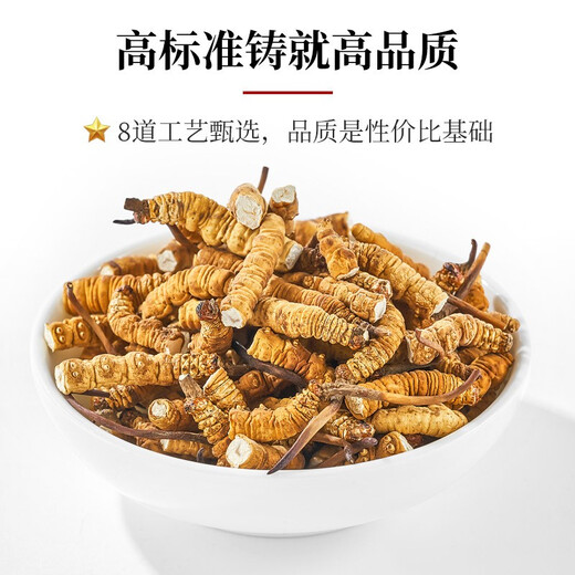 色季拉冬虫夏草断草 大断节虫草 10克装1瓶自吃实惠推荐