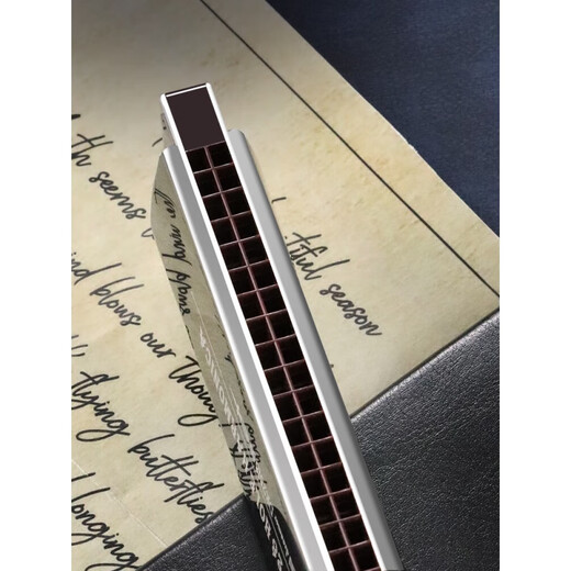 Swan (TianE) [Pick up the bargain clearance] 28-hole polyphonic harmonica adult stress professional performance level 28-hole high-end gift gifts, rich gold [Polyphonic C tune] full set of gifts