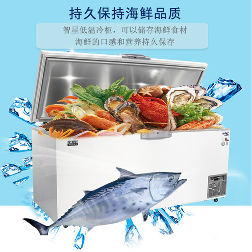 智星（ZX）超低温冰柜小型零下60度速冻金枪鱼海鲜商用科研工业实验室大容量卧式家用冰箱干冰保存冷柜 DW-695(-65度）