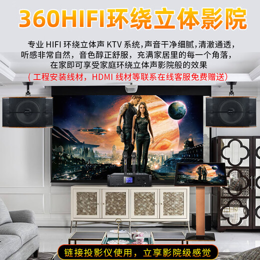 Shanshui (Sansui) FK-101 Home KTV Audio K Canción Conjunto de Karaoke Amplificador de alta potencia Paquete de tarjetas caseras Altavoces de citas para el hogar