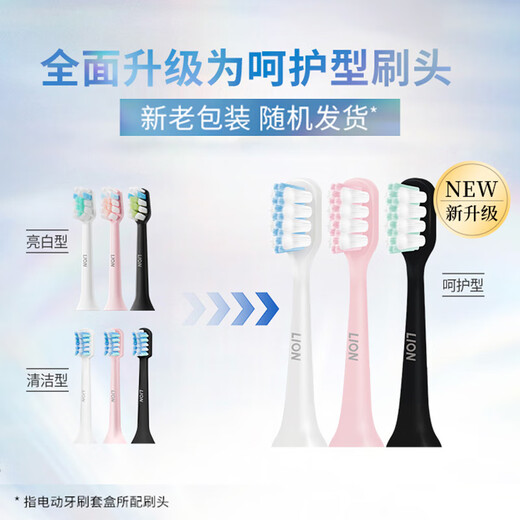 Lion (Lion) magnetic levitation sound wave electric toothbrush gift smart sound wave waterproof adult couple style OCC