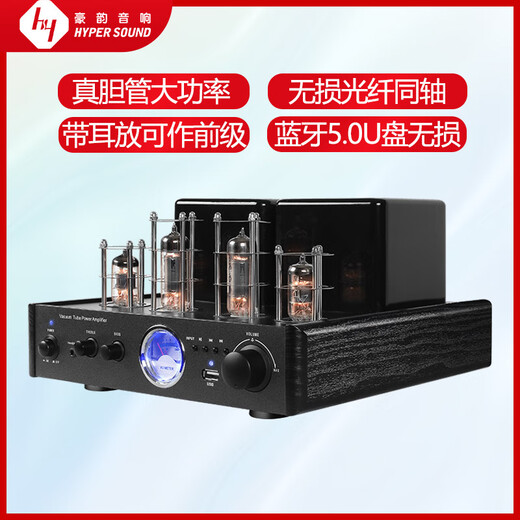 HAOYUN [Sales First Electronic Tube Balance Machine] Haoyun 2030 Electronic Tube Balance Machine Amplificateur Fièvre Fièvre Amplificateur de haute puissance Prise en charge All-in-One AV-2030R Black (Edition Standard)