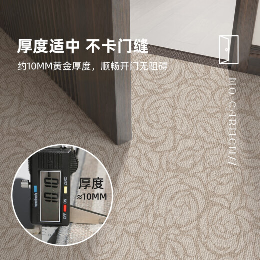 山头林村地垫入户门垫感门口玄关脚垫耐脏免洗地毯家用门外可裁剪垫子 朝暮-14109 1件数 120CM*160CM升级9代耐脏法