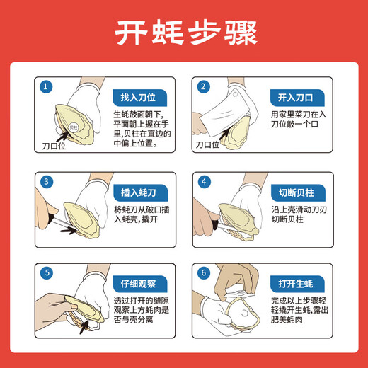 Fresh Jingcai Fresh Oysters 3XL Net weight 5Jin Jin is equal to 0.5kg 13-18 pieces Fresh to your home Fresh seafood Straight from the source