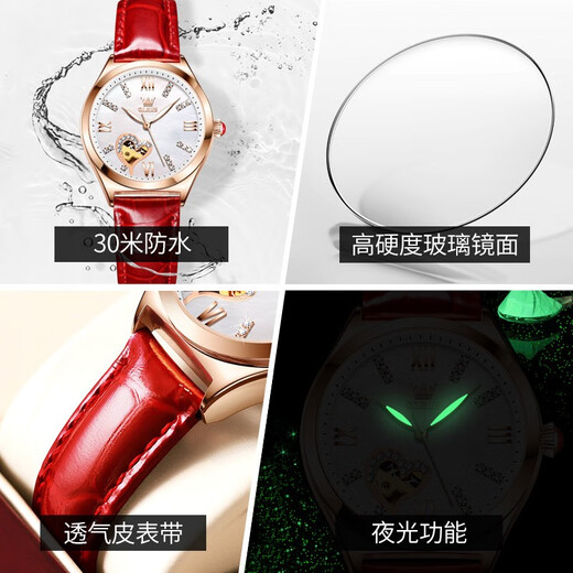 OLEVS Swiss certified brand watch women's mechanical watch fully automatic simple temperament women's watch luminous waterproof women's watch OLEVS-6636-red leather rose shell white surface