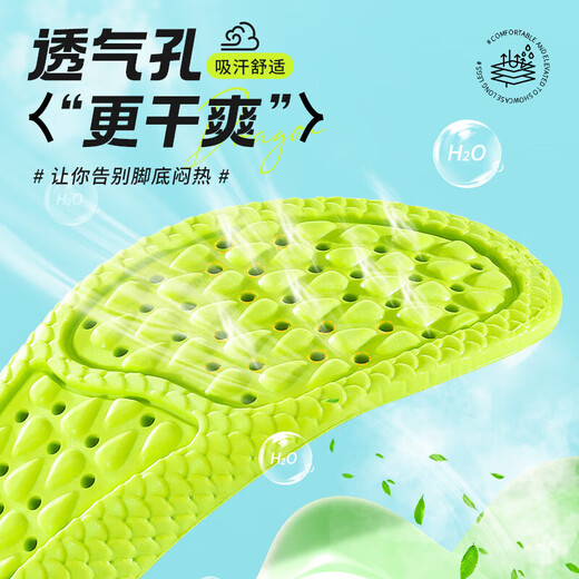 邦尼世家2双装运动鞋垫男高弹减震抗菌站久不累吸汗透气夏季