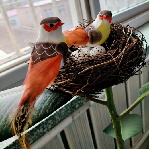 Runhua Nian Bird's Nest Bird's Nest Bird Supplies Bird Cage Handmade Straw Outdoor Pastoral Style Simulation Decoration Farmhouse Pendant Bird's Nest Plus Two Red-billed Birds and 5 Eggs