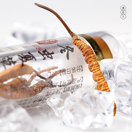 雷允上【官方】冬虫夏草 高端礼盒高档补品送人长辈父母礼盒 虫草5根/g 1g约5根
