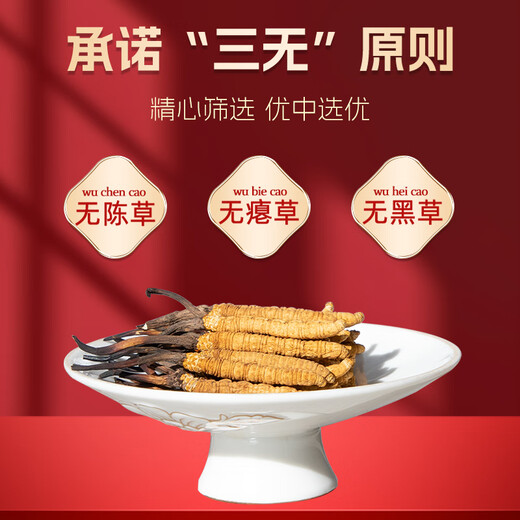 冬虫夏草 藏区头期虫草特大冬虫夏草王无断草礼盒装送礼佳品 50根礼盒装钻石级虫草2根/克