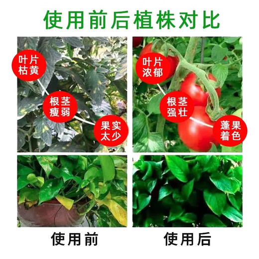 Fertilizante compuesto Fertilizante compuesto de nitrógeno, fósforo y potasio Fertilizante químico Fertilizante de flores Fertilizante de plantas Paquete de fertilizante vegetal Fertilizante de plantas verdes Fertilizante compuesto 50Jin Jin es igual a 0,5 kg