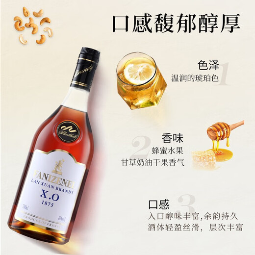 路易马西尼派斯顿法国洋酒xo白兰地40°烈酒橡木桶风味礼盒蓝轩端午送礼 700mL 1瓶