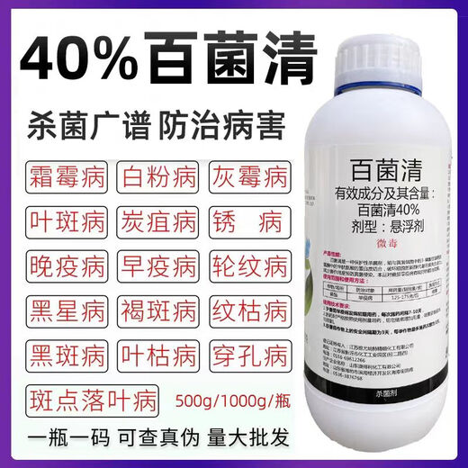 40% chlorothalonil, fruit tree, vegetable and flower rust, anthracnose, powdery mildew, leaf spot, downy mildew, pesticide and fungicide 500g