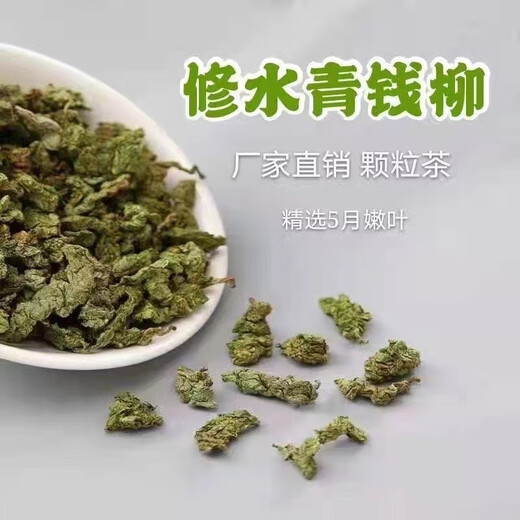 龙凤袍青钱柳茶正宗古树修水野生嫩叶金钱柳养生茶礼盒装 青钱柳 250g * 1件