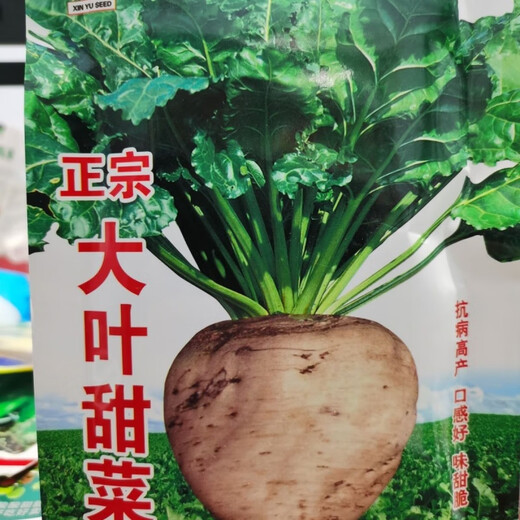 Big-leaf beet seeds, beet seeds, authentic northern vegetable seeds, complete hardcover original factory, big-leaf beet seeds, beet seeds, authentic northern vegetables.