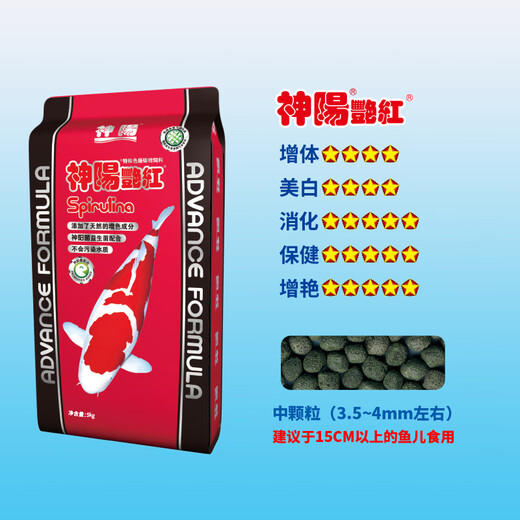 Shenyang koi feed to increase the color and color of the koi fish feed, special fish food and fish food 5KG 10kg, bright red, medium grain 5kg (suitable for fish over 15cm long)