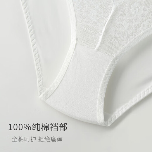 Christies ropa interior para mujeres sexy de encaje sexy puro puro cintura baja transpirable antibacteriano con crisis de mujeres jóvenes 3 paquetes 3 paquetes