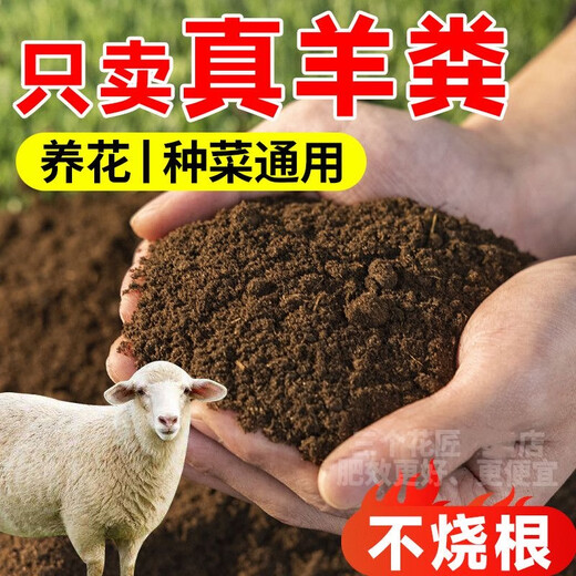 40Jin Jin is equal to 0.5kg. Pure sheep manure organic fertilizer for growing vegetables and flowers. Universal fermented chicken manure orchard nutrient soil. 29.9Jin Jin is equal to 0.5kg. No root burning, no insects and no smell. Inner Mongolia fermented pure sheep manure. 99 items left in the event.