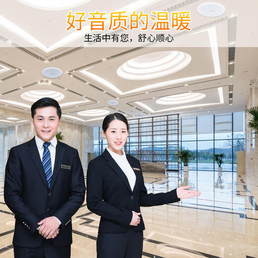 山水（SANSUI）SC21吸顶喇叭音响功放套装吊顶背景音乐公共广播定压天花商用会议店铺背景喇叭音箱系统 山水SC21 (8吋) *10+M500功放