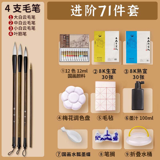 Surada Chinese Painting Pigments Chinese Painting Pigments Chinese Painting Pigment Set Beginner Students Children's Ink Painting Landscape Painting Set 12 Colors 12ml Upgrade Set SD134 Art Sketching